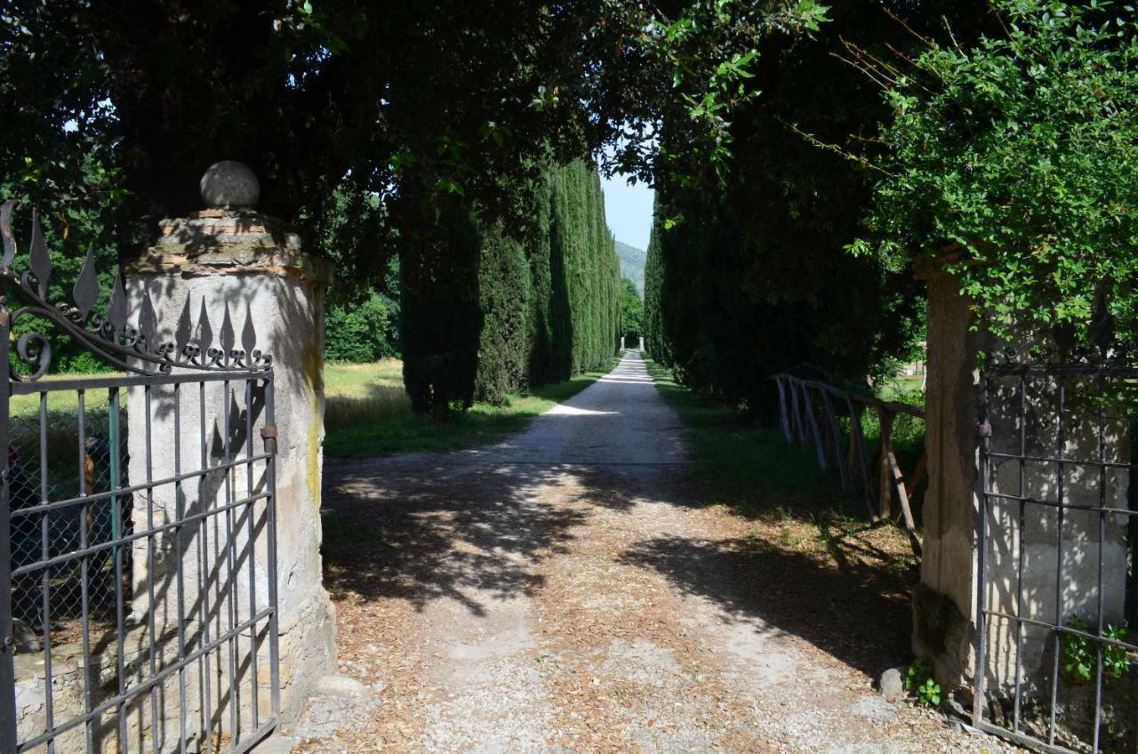 Casale Colleoni Bed & Breakfast Tivoli Eksteriør bilde