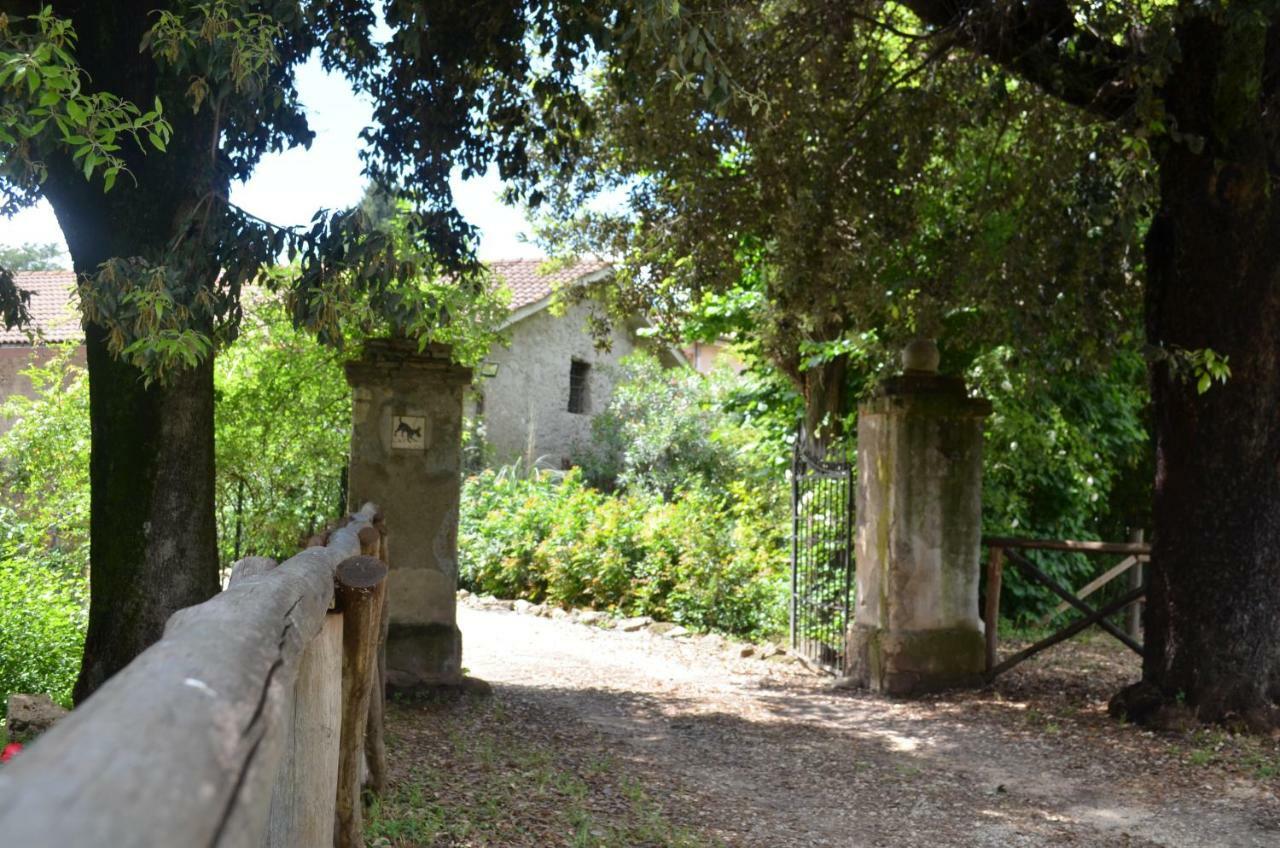 Casale Colleoni Bed & Breakfast Tivoli Eksteriør bilde